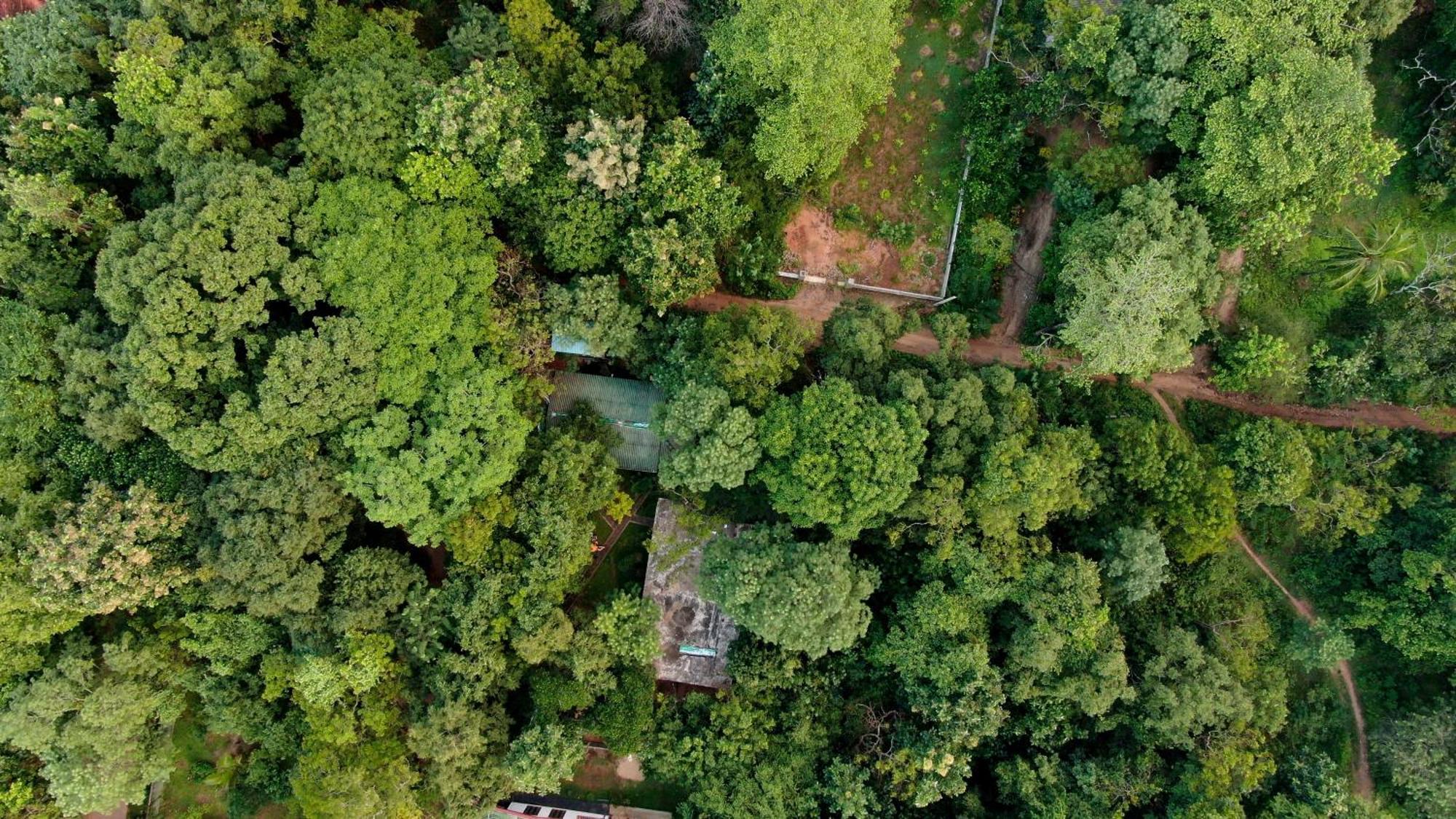 Woodsy Villa Sigiriya Bagian luar foto