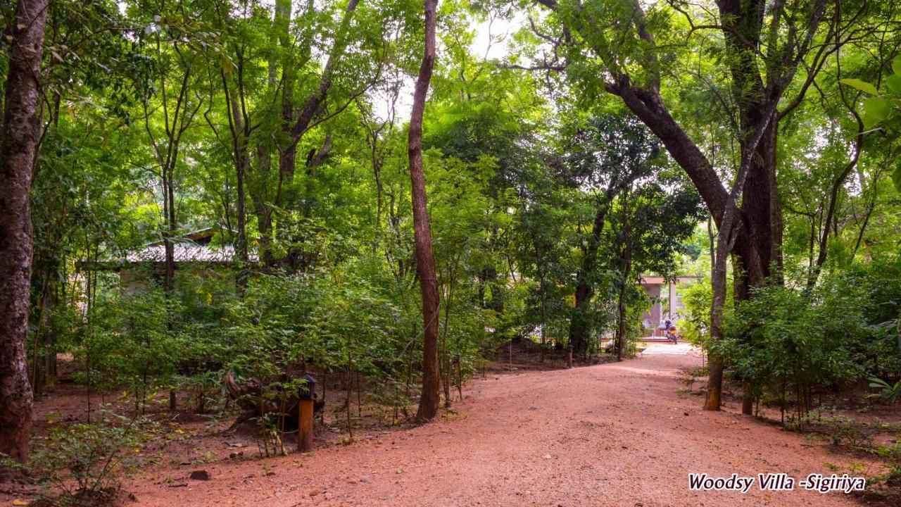 Woodsy Villa Sigiriya Bagian luar foto